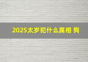 2025太岁犯什么属相 狗